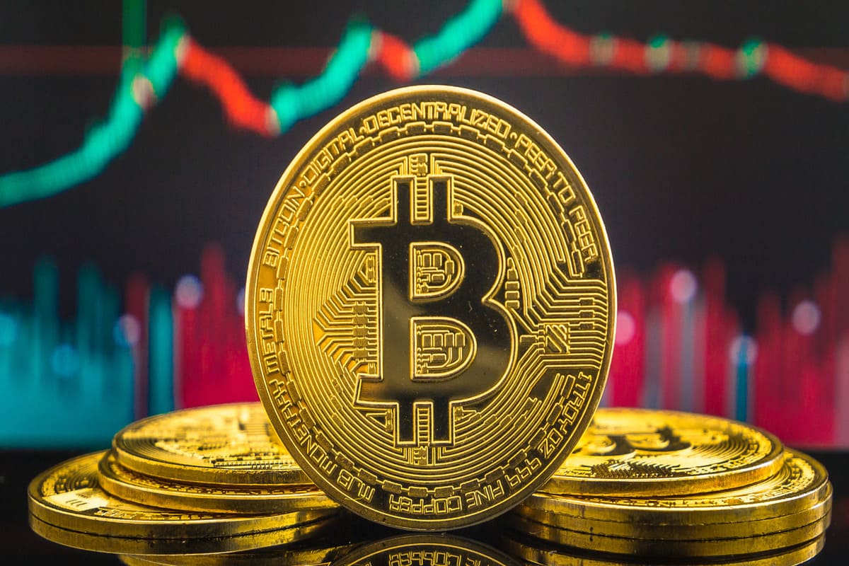 Курс Bitcoin / Фото: elements.envato.com