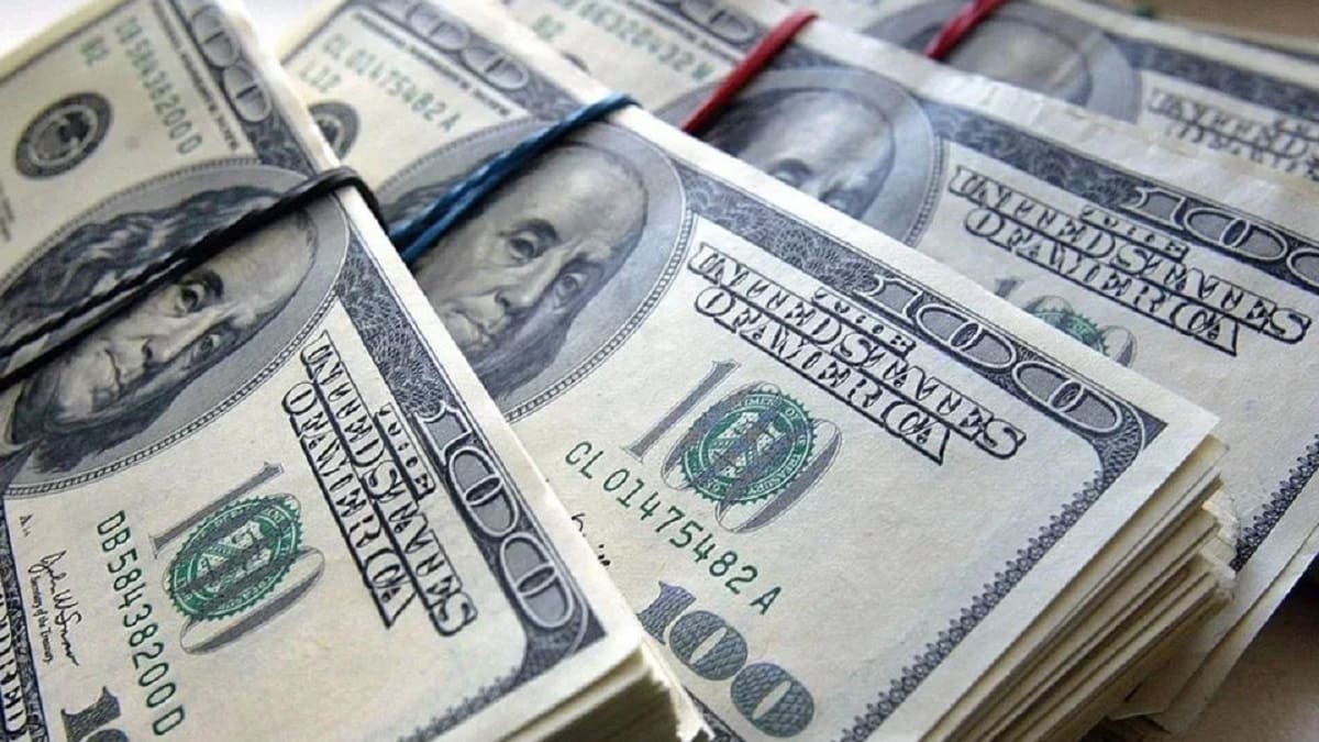 Українці за півроку збільшили свої заощадження в готівковій валюті
