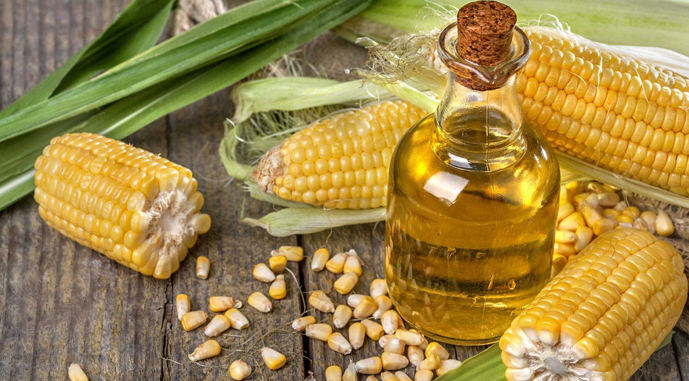 У березні 2025 року Україна експортувала 5,4 млн тонн агропродукції