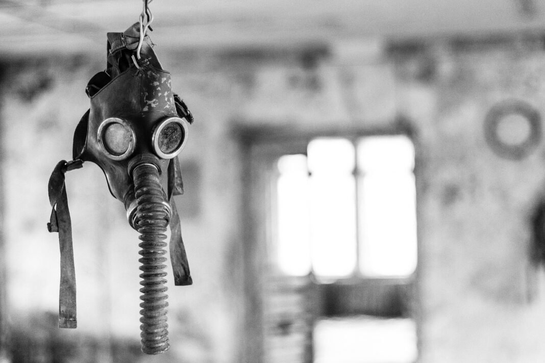 Частину Чорнобильських земель визнали придатними для сільського господарства, - дослідження / Фото: Pixabay