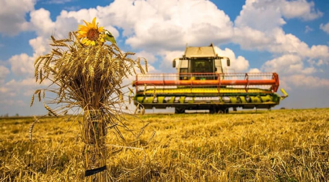 Денис Шмигаль розповів, яким буде урожай 2025 в Україні (фото: agroportal)