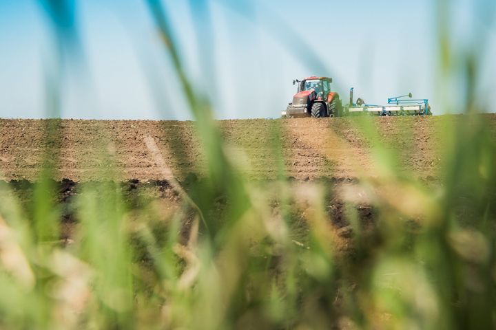На Херсонщині агроекологічна катастрофа