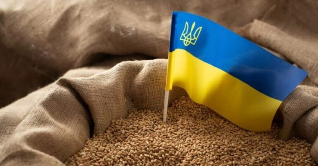 Україна планує відкрити логістичний агрохаб у Єгипті (фото з відкритих джерел)