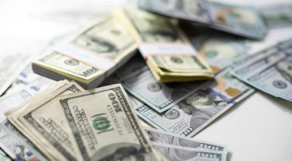 Світовий банк в рамках програми SURGE виділив Україні 133 млн доларів