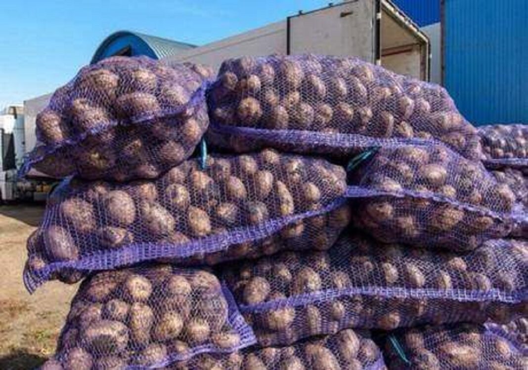 В Україні зросли оптові ціни на картоплю: в чому причина (фото з відкритих джерел)