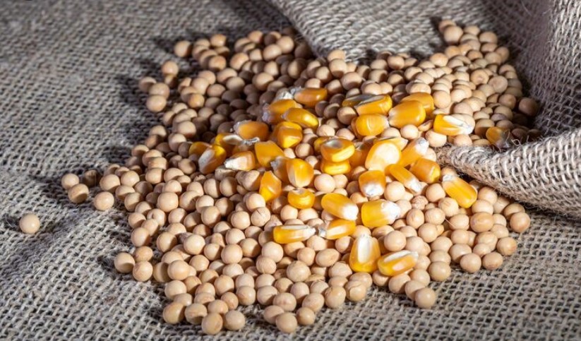 Україна в топ-5 найбільших постачальників органічної продукції до країн ЄС