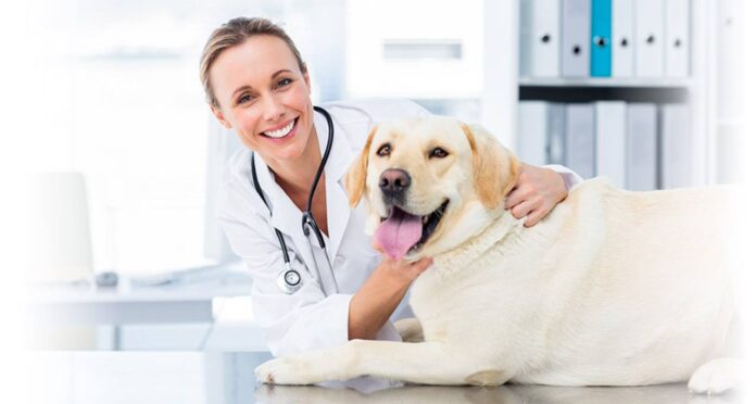 Ветеринар / Фото: Facebook Ветеринар / Фото: Facebook