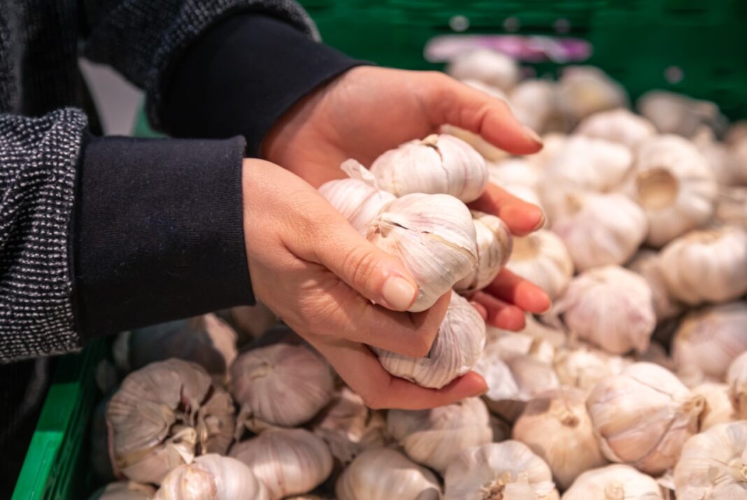 На полицях супермаркетів лише 20% часнику українського походження