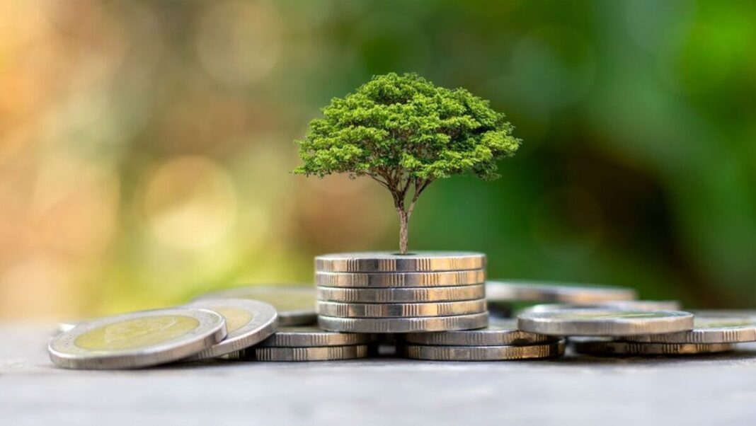 Фото: shutterstock