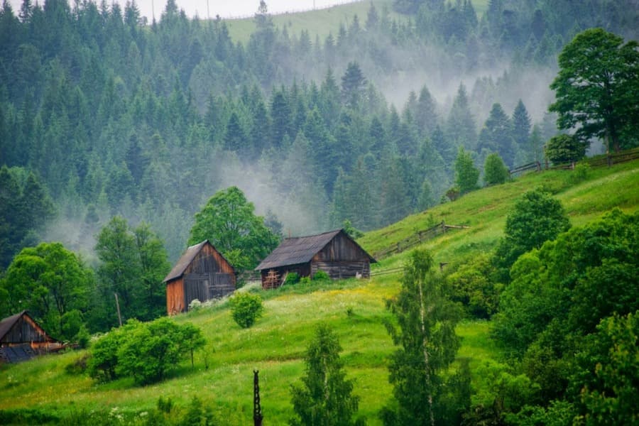 Фото з відкритих джерел