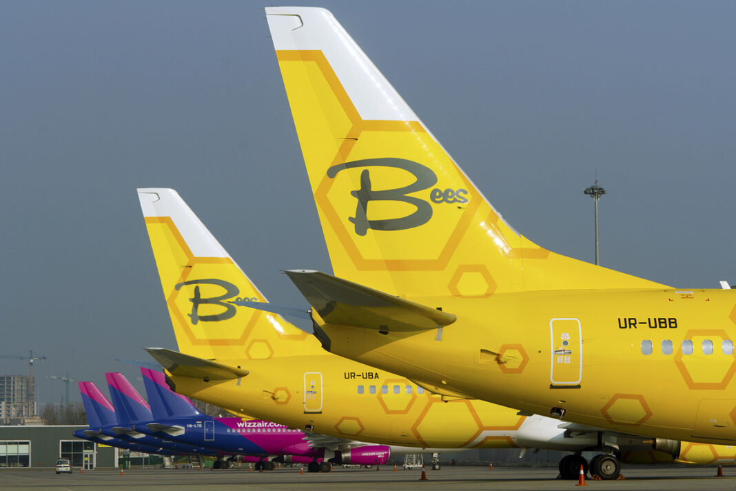 Bees Airline / Фото з сайту компанії