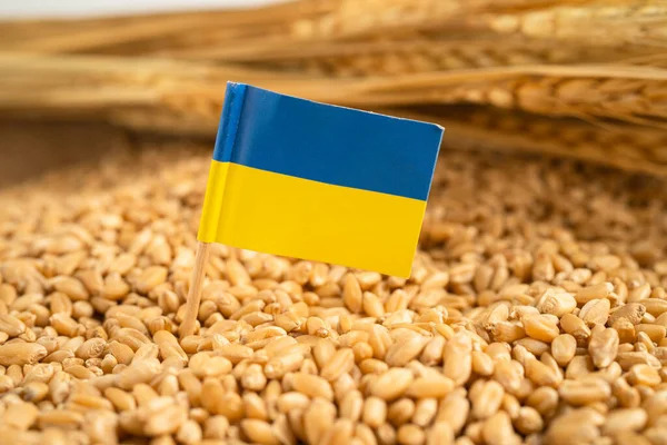 Зерно